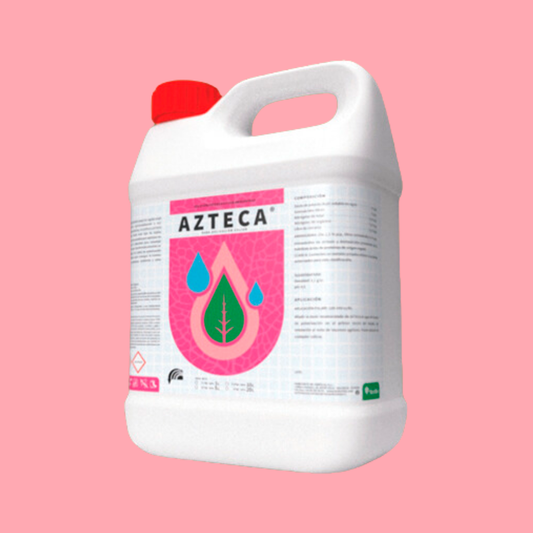 AZTECA