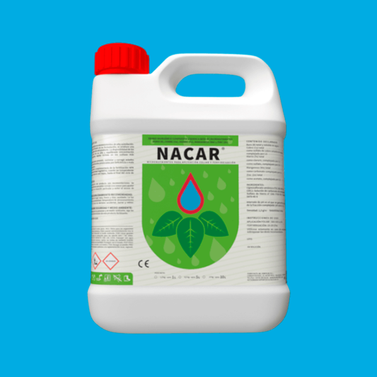 NACAR